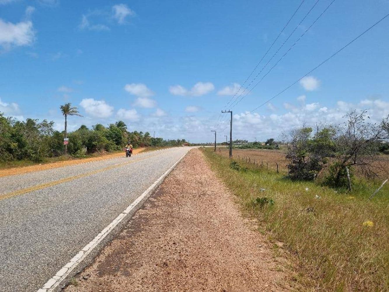 Lote, Padrão, 0 vaga(s) de garagem - foto 4