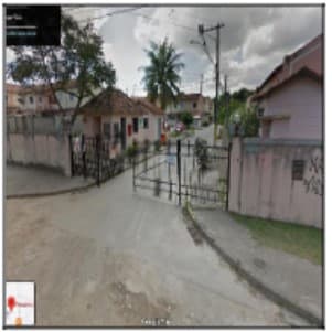 COND RES THUMBERGIA
