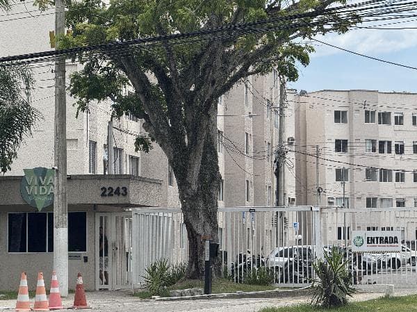 VIDA VIDA HARMONIA