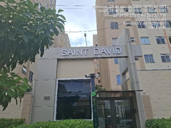 SAINT DAVID
