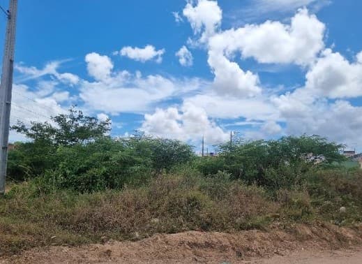 LOT JD SANTA INES - COMPLEXO JARDIM